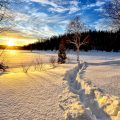 Voyager pour faire du sky en hiver